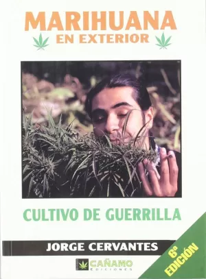 MARIHUANA EN EXTERIOR CULTIVO