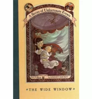 WIDE WINDOW,THE