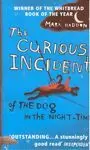 CURIOUS INCIDENT OF THE DOG IN THE NIGHT TIME