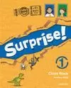 SURPRISE 4 ACTIVITY BOOK