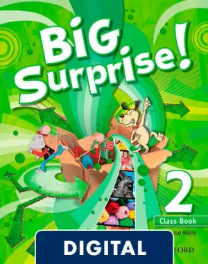 BIG SURPRISE 2 CB BLINK EBOOK