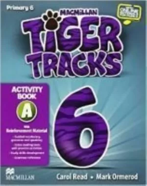TIGER 6ºEP WB A 14 PACK