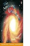 PYR4 THE AMAZING UNIVERSE