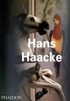 HANS HAACKE