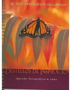 AGENDA 2005 -DESTELLOS DE INSPIRACION