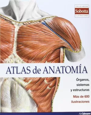 ATLAS DE ANATOMIA