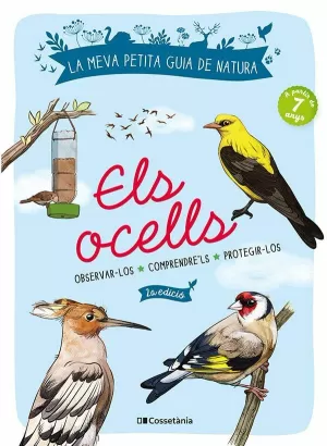 ELS OCELLS