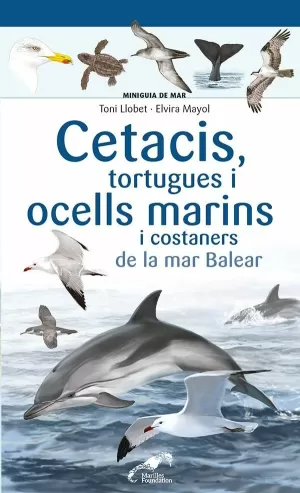 CETACIS, TORTUGUES I OCELLS MARINS I COSTANERS DE LA MAR BALEAR