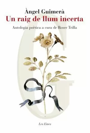 UN RAIG DE LLUM INCERTA. ANTOLOGIA POÈTICA