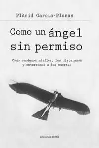 COMO UN ANGEL SIN PERMISO