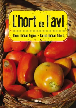 L'HORT DE L'AVI