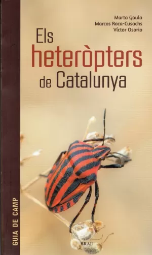 ELS HETERÒPTERS DE CATALUNYA