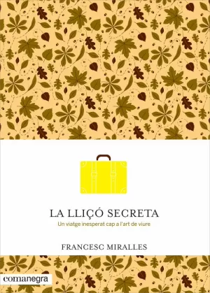 LA LLIÇÓ SECRETA