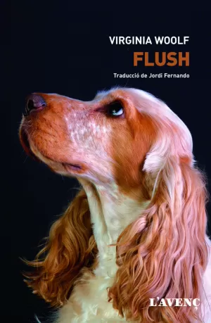 FLUSH FLUSH