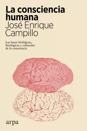 LA CONSCIENCIA HUMANA LA CONSCIENCIA HUMANA