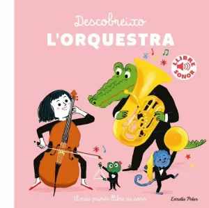 DESCOBREIXO L'ORQUESTRA