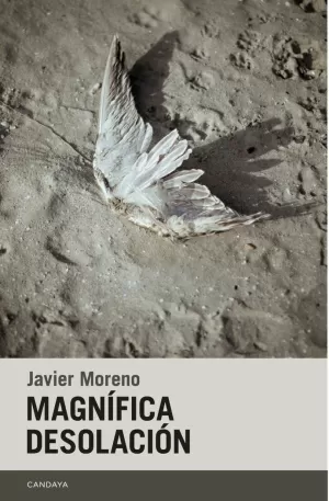 MAGNÍFICA DESOLACIÓN MAGNÍFICA DESOLACIÓN