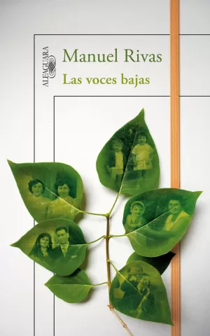 LAS VOCES BAJAS LAS VOCES BAJAS