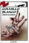 COLMILLO BLANCO