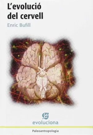 EVOLUCIO DEL CERVELL, L´ EVOLUCIO DEL CERVELL, L´