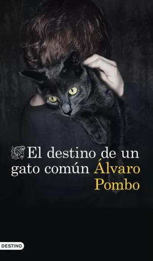 EL DESTINO DE UN GATO COMÚN