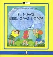 NUVOL GRIS GRAS I GROS-LL.PAL