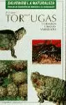 TORTUGAS CUIDADOS CRIANZA VARI
