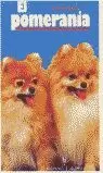 BICHON FRISE,EL