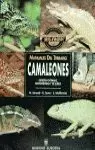 CAMALEONES MANUALES TERRARIO