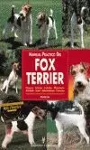 FOX TERRIER