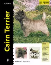 CAIRN TERRIER SERIE EXCELLENCE