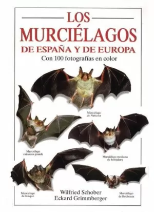 MURCIELAGOS DE ESPAÑA Y EUROPA