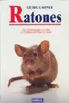 RATONES