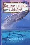 BALLENAS DELFINES Y MARSOPAS