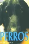 PERROS