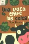 VACA ENTRE LAS COLES