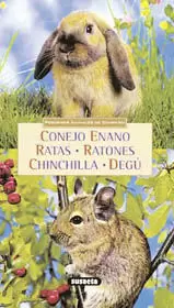 CONEJO ENANO. RATAS. RATONES. CHINCHILLA. DEGU