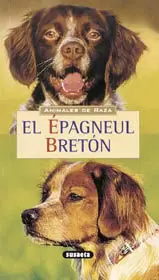 EL EPAGNEUL BRETON EL EPAGNEUL BRETON