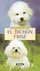 EL BICHON FRISE EL BICHON FRISE