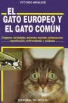 GATO EUROPEO Y EL GATO COMUN
