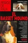 BASSET HOUND