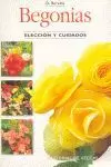 BEGONIAS