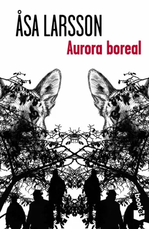 AURORA BOREAL