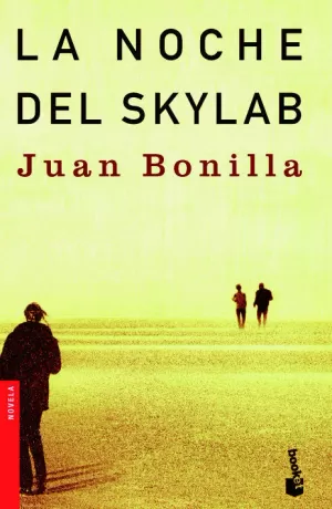 LA NOCHE DEL SKYLAB