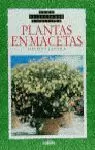 PLANTAS EN MACETAS