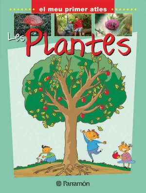 LES PLANTES