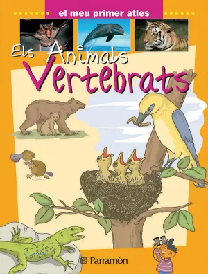 ELS ANIMALS VERTEBRATS ELS ANIMALS VERTEBRATS