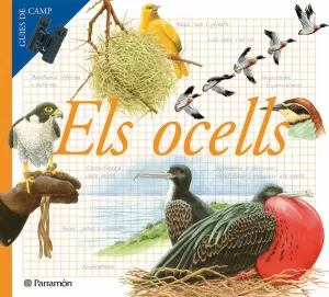 ELS OCELLS