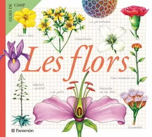 LES FLORS LES FLORS