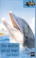 DELFIN EN EL MAR,UN